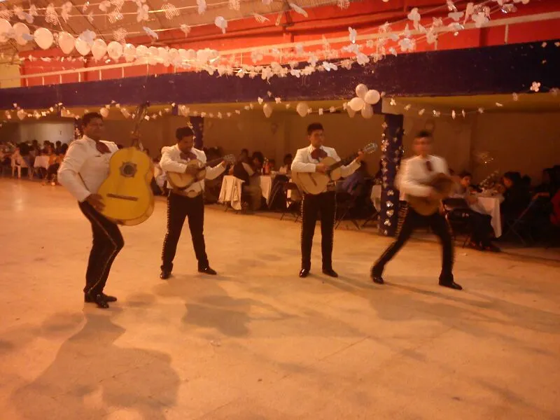 Imagen 1